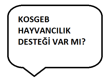 KOSGEB Hayvancılık Desteği var mı